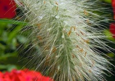 美女过生日祝福语(汇总50句)