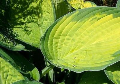 老公30岁生日祝福语(推荐6句)