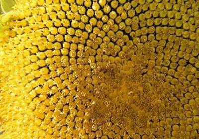 老婆生日祝福语幽默(通用50句)