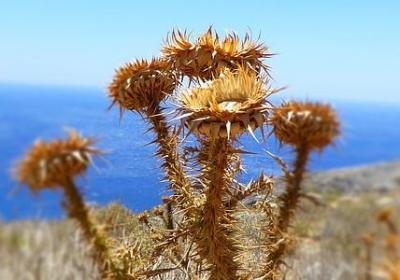 给老婆生日蛋糕祝福语(通用6句)