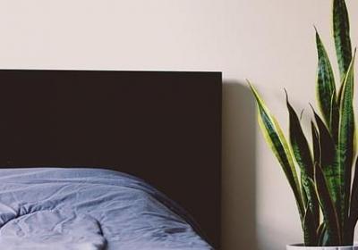 老人家70岁生日祝福语(50句)