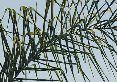 老婆的生日祝福语(必备40句)