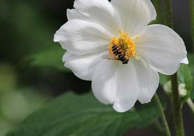 给老人生日的祝福语(通用60句)