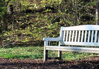 给领导的生日祝福语(汇总60句)