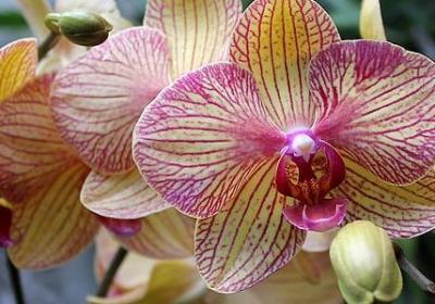 给老板生日祝福语(合集40句)