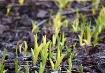 给自己的生日祝福语(合集35句)