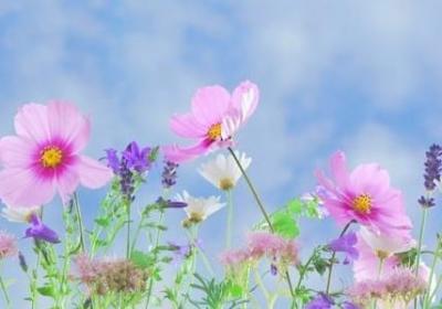 老婆三十岁生日祝福语(通用30句)