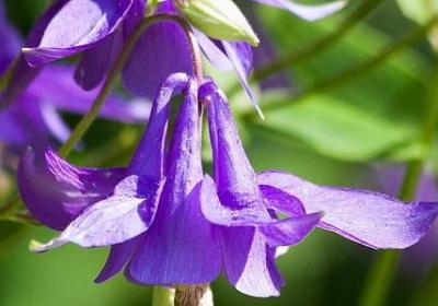 缘分祝福语(热门40句)