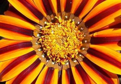 给长辈敬酒的祝福语(合集69句)