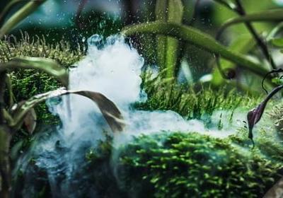 给校长的祝福语(汇总8句)