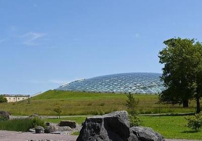 表妹生日快乐祝福语(热门70句)