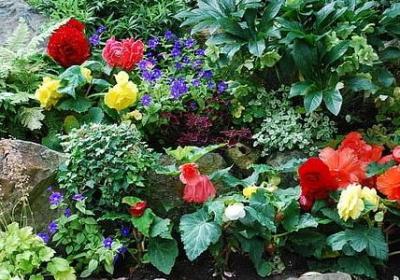 贺卡生日祝福语(精选60句)