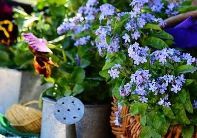 装修完工祝福语或恭喜(共60句)