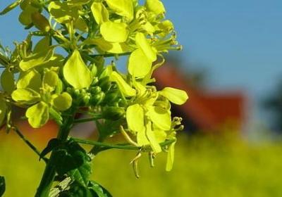 老板过生日祝福语(优选50句)