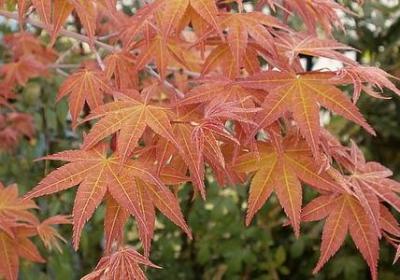 英文离别祝福语(优选80句)