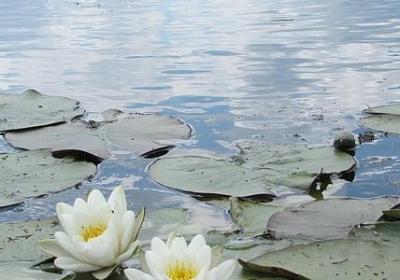 跳舞祝福语(合集40句)