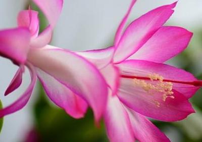 自己生日祝福语简短独特(69句)