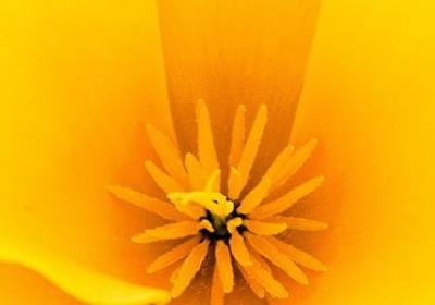 自己祝福语(实用80句)