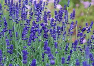 装修房子开工祝福语(合集57句)