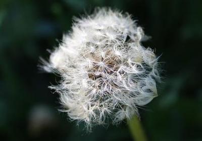 脱单祝福语(共40句)