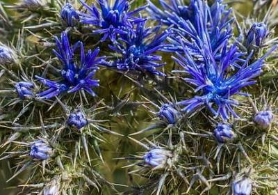 身体健康的祝福语(合集60句)