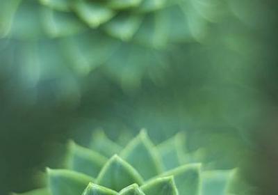 身体健康祝福语(必备50句)