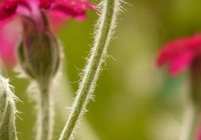 考上公务员的祝福语(热门60句)