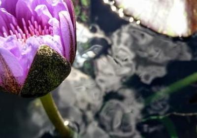 装修公司祝福语简短(必备50句)