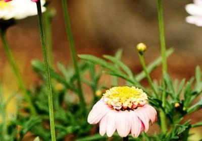 节日祝福语(热门50句)