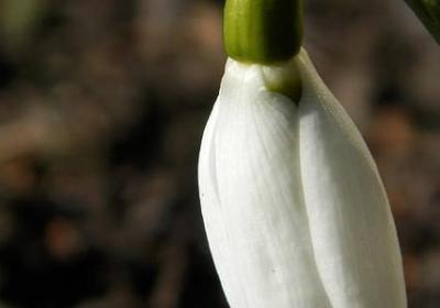 英语的祝福语有哪些(70句)