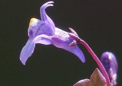 警察生日祝福语(推荐40句)