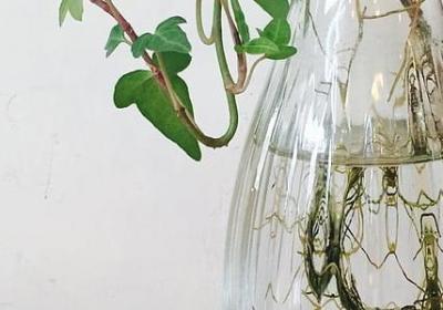 谈生意成功的祝福语(实用57句)