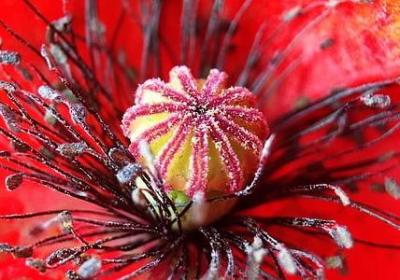 贺岁祝福语(汇总47句)