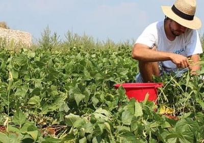 老爸60岁生日祝福语(必备8句)