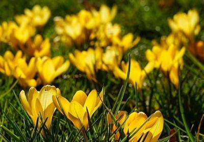 聚会祝福语(精选70句)