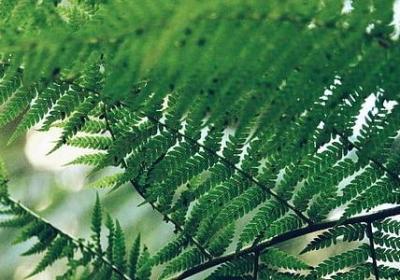 老板祝福语(推荐40句)