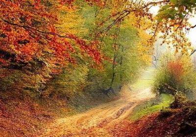 贺开业祝福语(实用44句)