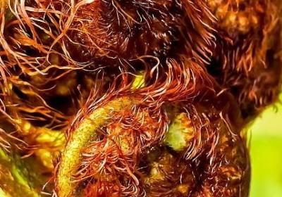 考上学校的祝福语(优选50句)