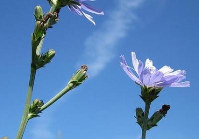 自己五十岁生日祝福语(热门6句)