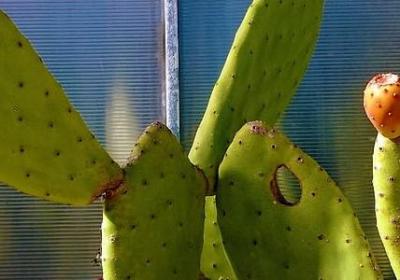 花甲寿诞祝福语(70句)