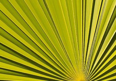 订婚祝福语四字成语(优选70句)