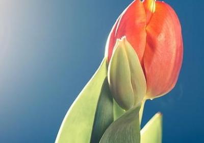 英文祝福语简短(通用119句)