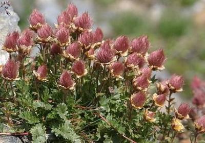 蛇年祝福语(热门70句)