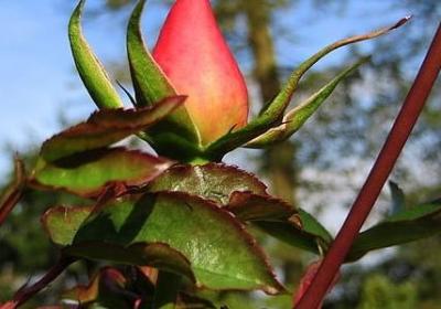 老师给学生的祝福语(热门50句)