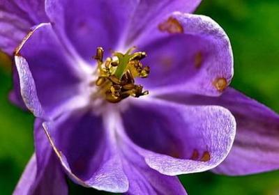 自己生日祝福语(40句)