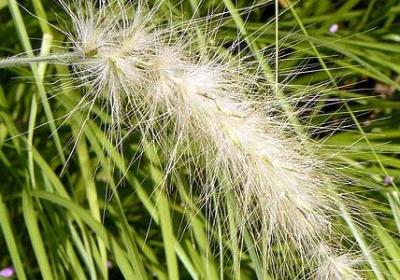 考场祝福语(推荐50句)