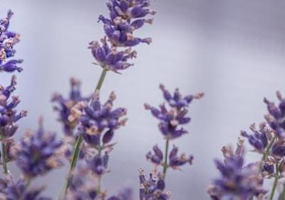 老爸生日祝福语8个字(优选8句)