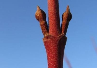 诗意的祝福语(优选40句)