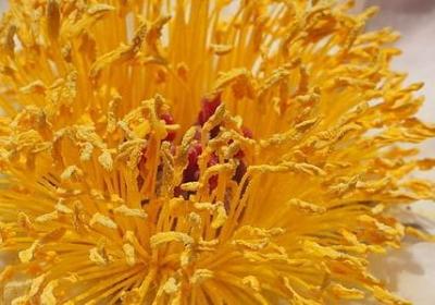 胎毛印章祝福语(通用70句)