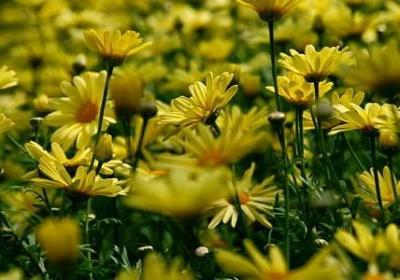 贺卡祝福语怎么写(汇总60句)